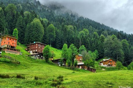 Doğu Karadeniz’in Eşsiz Yaylaları Ve Batum
