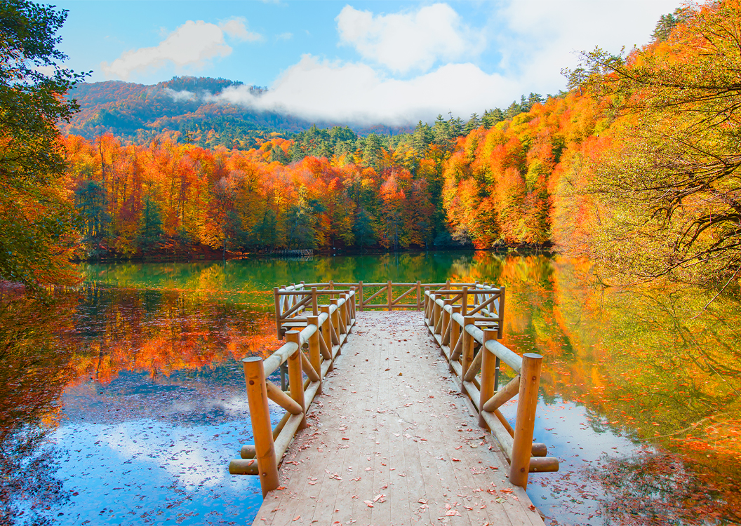 Yedigöller Milli Parkı Beypazarı Mudurnu Abant Gölü